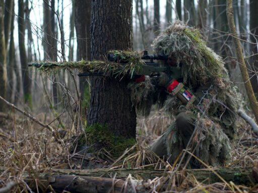An image depicting a camouflaged sniper representing the stealth of Guerrilla marketing with a domain name as the central element of a dynamic guerrilla marketing campaign.